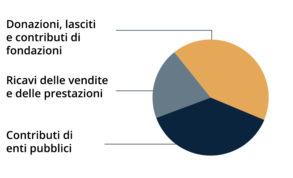 Grafico a torta con ripartizione dei finanziamenti